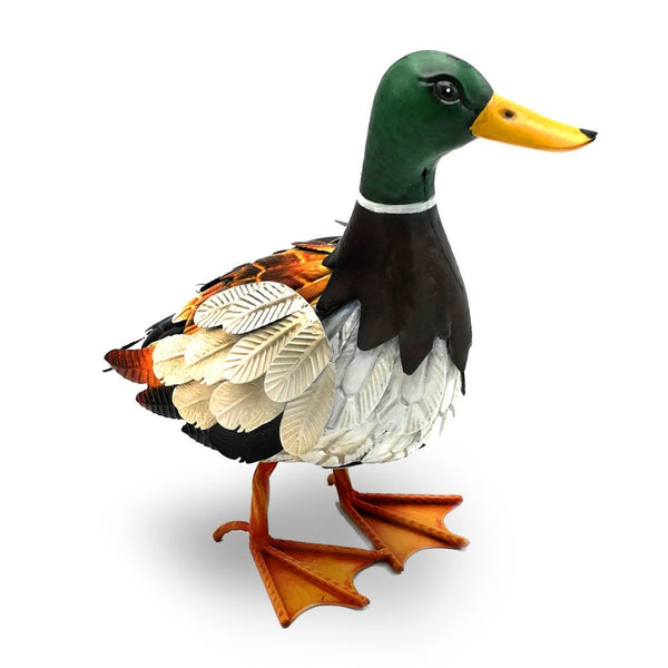 CANARD MÉTAL